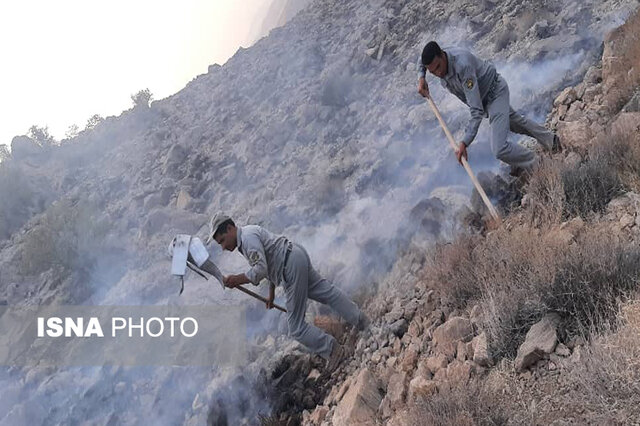 حریق گسترده دراک شیراز مهار شد