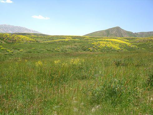 سند ۸۰۰ هکتار دیگر از اراضی گنبدکاووس به نام منابع طبیعی صادر شد