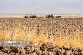 افزایش سطح زیر کشت قراردادی گندم در سیستان وبلوچستان