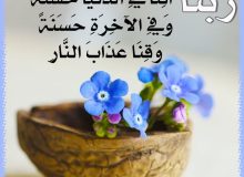 سعادت دنیا و هم سعادت و نیک‌بختی سرای دیگر