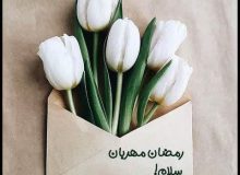 دل‌نوشته | دو خط شعر