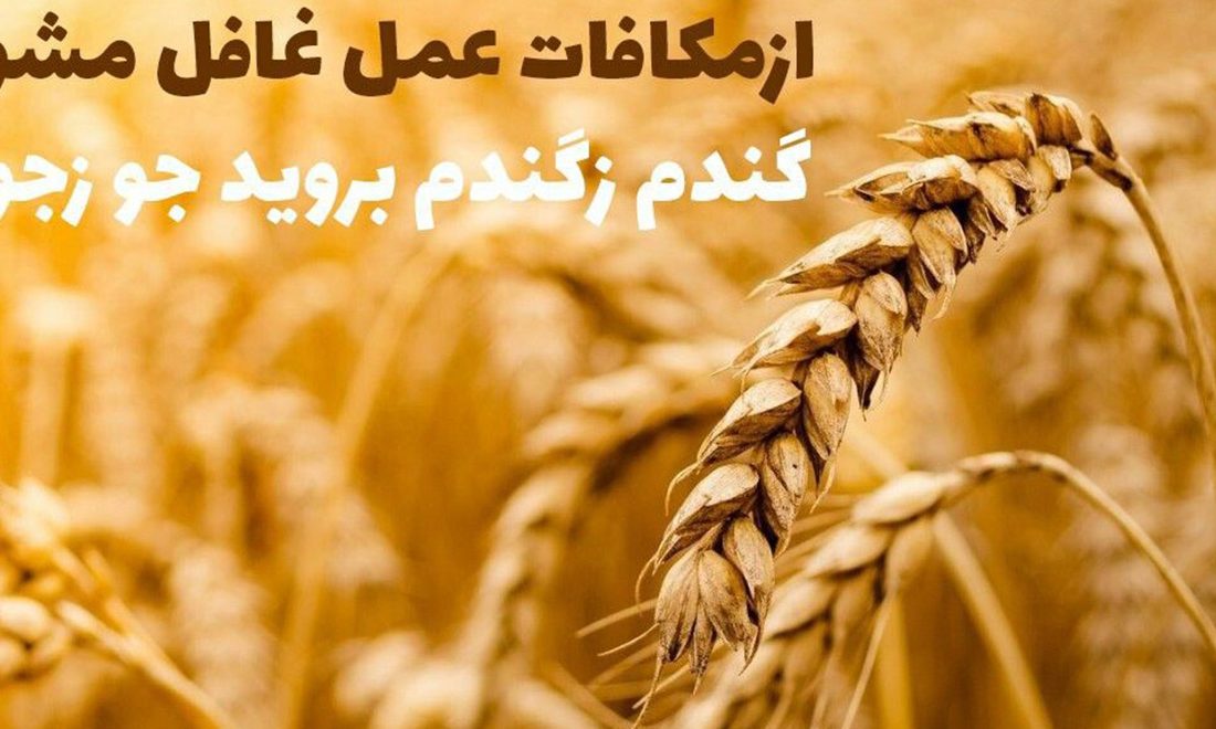 تلنگر | از مکافاتِ عمل غافل مَشو