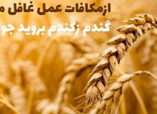 تلنگر | از مکافاتِ عمل غافل مَشو