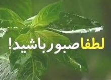 تلنگر | لطفا صبور باشید!