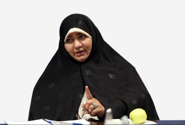 +مدیرعامل بنیاد عفاف و حجاب: اجرای طرح نور نیازمند اصلاحات است