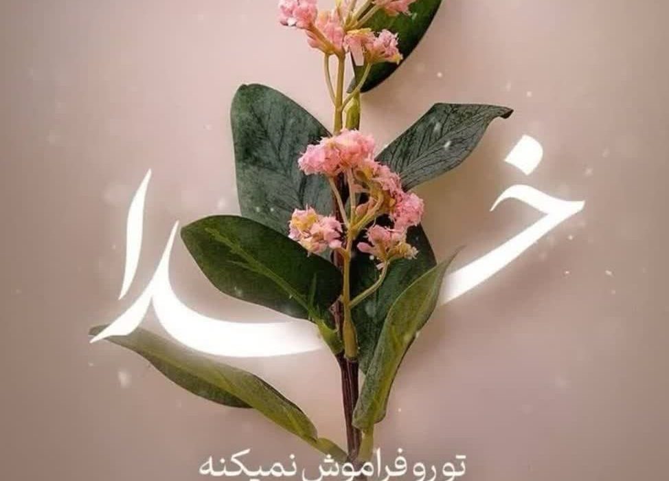 امور دارای جنبه الهی و صبغه ربوبی