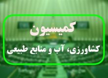 تصویب 2 طرح تفحص در کمیسیون کشاورزی مجلس