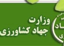 هشدار به پزشکیان درباره تغییر ساختار وزارت جهاد کشاورزی