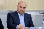 قالیباف: کشورهای اسلامی به یاری فلسطین بشتابند