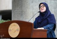 مهاجرانی: تقسیم‌کار برای تسهیل سفر اربعین انجام شده است