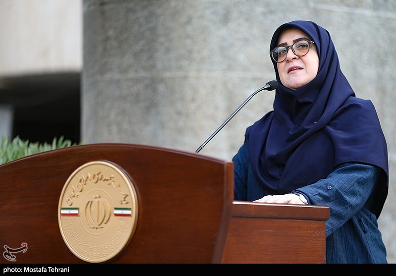 مهاجرانی: تقسیم‌کار برای تسهیل سفر اربعین انجام شده است