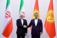 عارف:همبستگی کشورهای منطقه به بالارفتن ضریب امنیت کمک می کند
