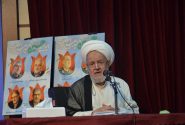 سعیدی: حکومت اسلامی بر پایه ساحت ولایی و فقاهتی استوار است