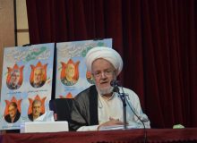سعیدی: حکومت اسلامی بر پایه ساحت ولایی و فقاهتی استوار است