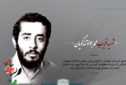 نگذارید وطن به دست نااهلان بیفتد