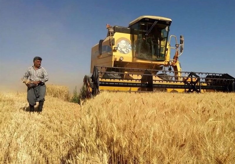 نامه رئیس کمیسیون کشاورزی مجلس به نوری‌قزلجه درباره نرخ خرید تضمینی گندم