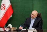 قالیباف قهرمانی تیم ملی کشتی فرنگی را تبریک گفت