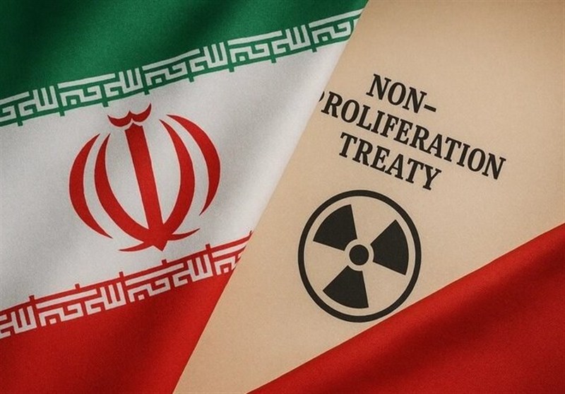 سخنگوی کمیسیون امنیت: 15 طرح برای خروج از NPT ارائه شده است