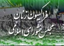 جلسه فراکسیون زنان مجلس با وزیر اطلاعات
