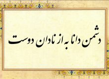 دشمن دانا به از نادان دوست