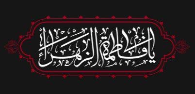 IMG_20251107_215902_631suBdMZ2