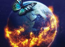 انسانِ درختی و انسانِ بوته‌ای